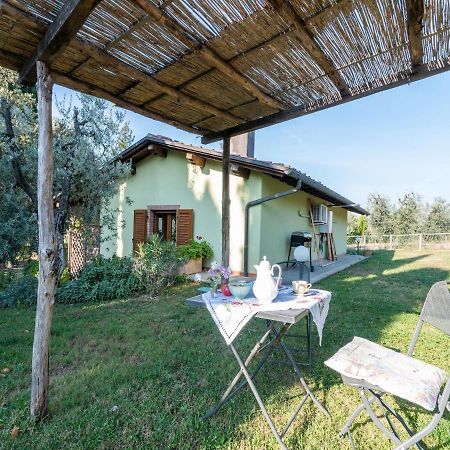 Belvilla By Oyo Il Leccio E Le Rose Arezzo Eksteriør bilde